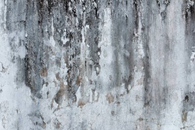 Küf, Mantar ve Eski Beton Duvardaki Beyaz Soyulmuş Boya. Sunum ve Arkaplan İçin Uygun.