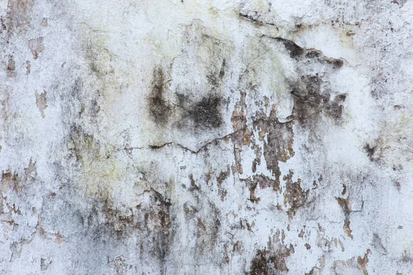 Mould Fungus White Peeling Painting Old Concrete Wall Background Suitable — Stock Photo, Image