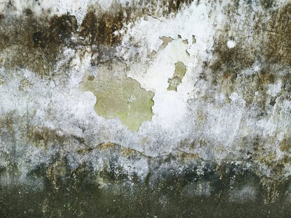 Mould Fungus White Peeling Painting Old Concrete Wall Background Suitable — Stock Photo, Image