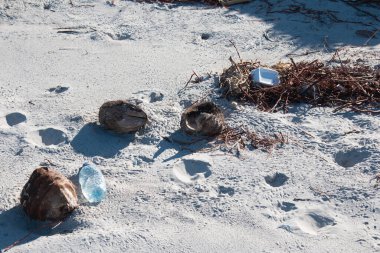 Plaj plastik kirliliği. Plastik şişeler ve kumsaldaki diğer çöpler.