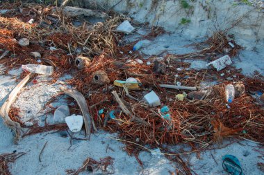 Plaj plastik kirliliği. Plastik şişeler ve kumsaldaki diğer çöpler.