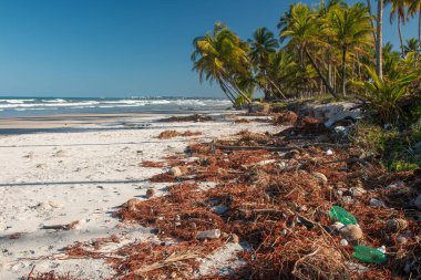 Plaj plastik kirliliği. Plastik şişeler ve kumsaldaki diğer çöpler.