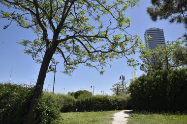 Grattacielo di Cesenatico
