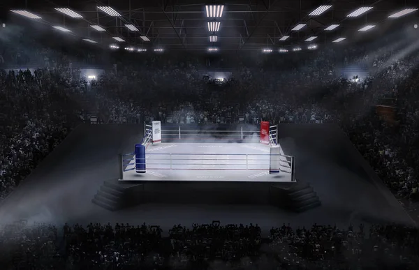 Arena de boxeo con luz de estadio Imagen De Stock