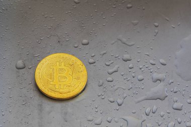 Altın bitcoin metal yüzeyi ile su damlaları.