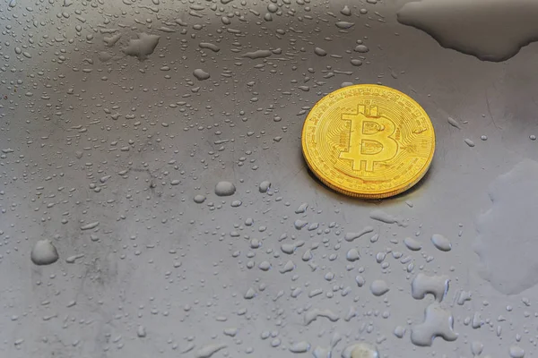 Bitcoin Moneda Oro Una Superficie Metal Con Gotas Agua — Foto de Stock