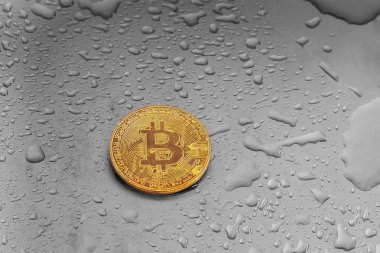 Altın bitcoin metal yüzeyi ile su damlaları.