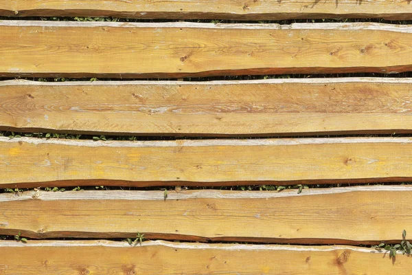 Fondo Tablas Madera Color Marrón Plantas Verdes — Foto de Stock