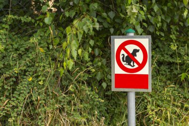 Bir köpek bir arka plan yeşil ot ve yaprak işaretiyle yasaklayan