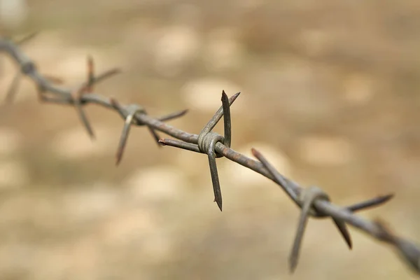 Old Rusty Barbed Wire Metal Barbed Wire Fence Close Blurred — Stock Photo, Image