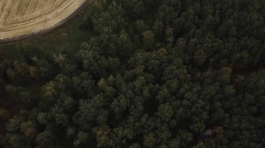 Biçerdöver buğday hasat