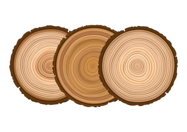 Três textura de madeira serrada árvore de objeto marrom — Vetor de Stock