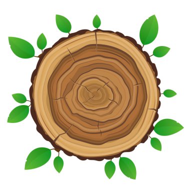 Vektör ahşap tahta kurulu ile izole yeşil yeşillik