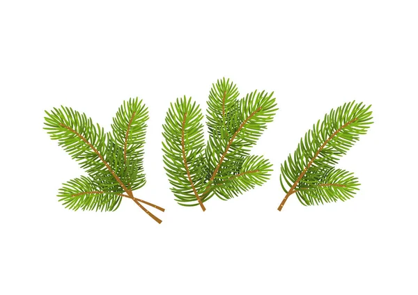 現実的な詳細なクリスマス ツリーの枝新年のシンボル白い背景で隔離のセット — ストックベクタ