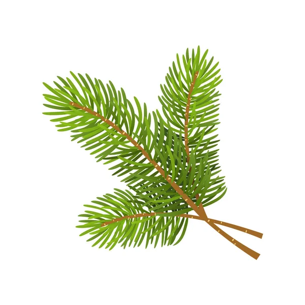 Vektorové Ilustrace Vánoční Stromek Větve Izolovaných Bílém Pozadí — Stockový vektor