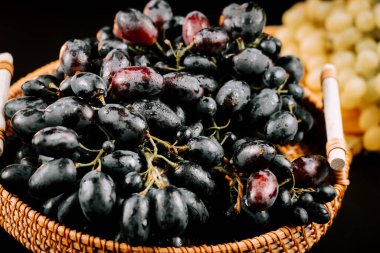Olgun siyah üzümler bir sepetin içinde toplanmış tüketime ya da şarap üretimine hazırlar.