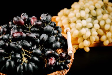 Olgun bir sepetteki üzümler, parlak renklerini ve dokusunu loş bir şekilde renklendiriyor.