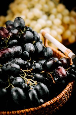 Taze toplanmış olgun üzümler dokuma sepetinde lezzet ve tatmaya hazır.