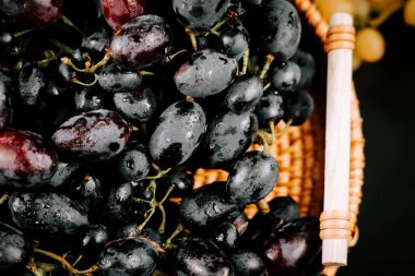 Taze üzümler dokunmuş sepetin içinde güneşli bir üzüm bağında hasat edilmeye hazır.