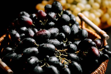 Öğleden sonra bir üzüm bağında hasat için hazır bir sepet içinde olgun üzümler.