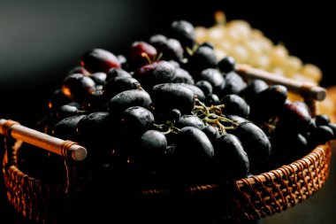 Olgun siyah üzümler örgü bir sepette sergileniyor ve zıt yeşil üzümler arka planda.