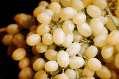 Olgun beyaz üzümler hasat ortamında hafif ışıklandırma altında bir araya toplanmış.