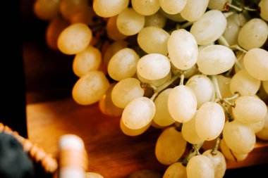 Olgun ve sulu üzümler sıcak güneş ışığı saatlerinde bir üzüm bağında hasat edilmeye hazır.