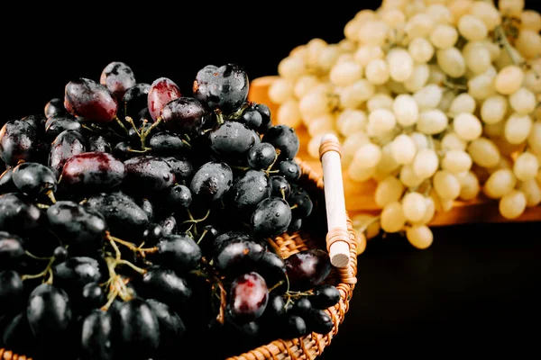 Olgun bir sepetteki üzümler, parlak renklerini ve dokusunu loş bir şekilde renklendiriyor.