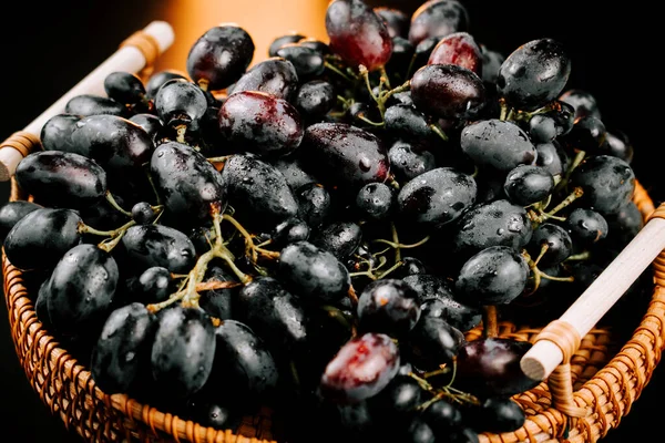 Taze toplanmış olgun üzümler dokuma sepetinde tüketime ya da şarap yapmaya hazır.