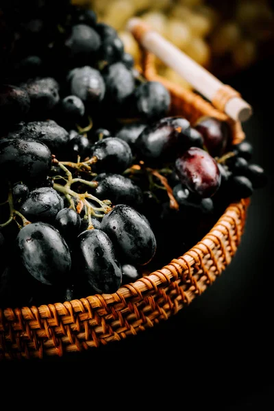Olgun siyah üzümler örülmüş sepetin içinde hasat ve tüketime hazır.