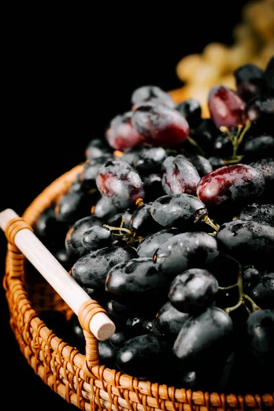 Taze toplanmış olgun üzümler örülmüş bir sepetin içinde koyu bir zemin üzerinde sergileniyor.