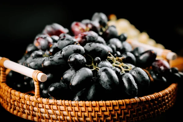 Tadına bakmaya hazır, dokuma sepetinde olgun siyah üzüm hasadı.