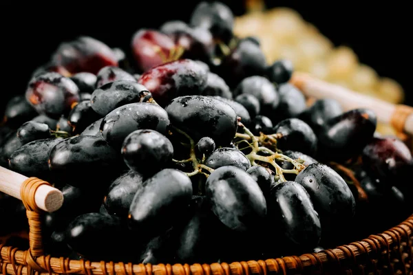Taze toplanmış olgun üzümler dokuma sepetinde keyif almaya ve tatmaya hazır.