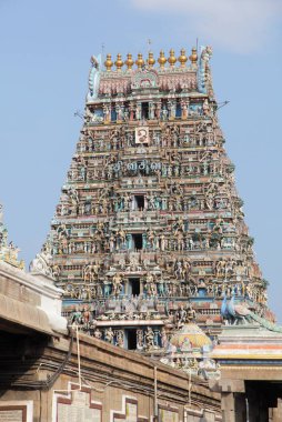 kapaleeswarar Tapınağı Chennai, Hindistan