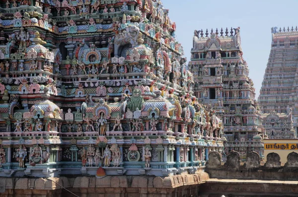Sri Ranganathar Swamy Srirangam, Trichy tapınakta.