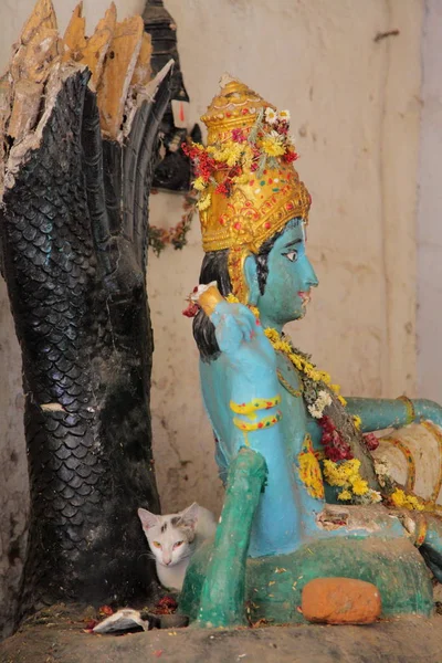 Sri Ranganathar Templo Pantanoso Srirangam Trichy — Fotografia de Stock