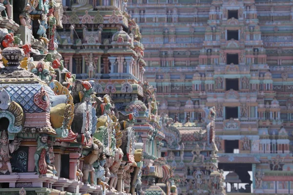 Sri Ranganathar Templo Pantanoso Srirangam Trichy —  Fotos de Stock