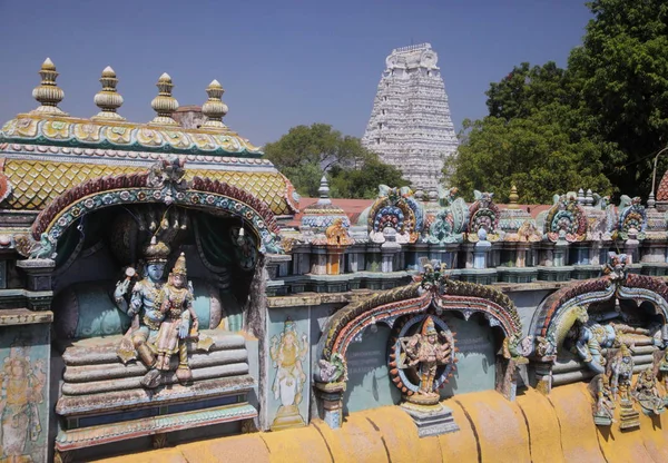 Шрі Ranganathar Свамі Храм Srirangam Трічі — стокове фото