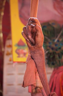 El sadhu (Indian holy man) Kumbh Mela Festival, dünyanın en büyük dini toplama, Allahabad, Uttar Pradesh, Hindistan.