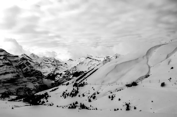  Bernalps. Kayalar ve kar zirveleri. Tek renkli fotog