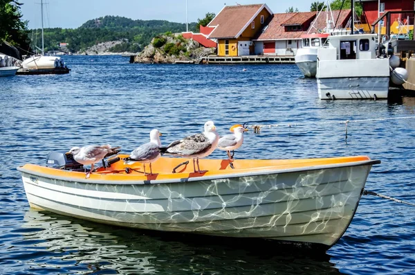 Küçük bir boğazda demirli tekne.