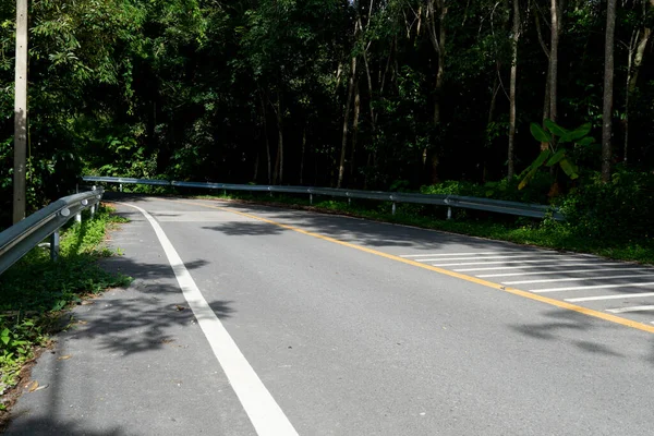 Curved path of asphalt road. Both sides of the path are filled with green forest. Both sides of the path are filled with green forest.