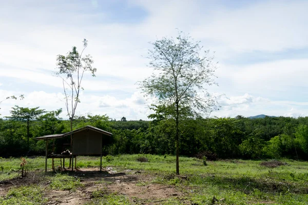 Eine Kleine Holzhütte Auf Einem Hügel Umgeben Von Wald Unter — Stockfoto