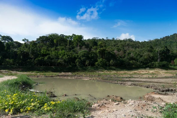 Der Boden Und Das Wasser Sind Trocken Und Von Grünen — Stockfoto