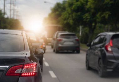 Asfalt yolda araba sürme lüksü. Aydınlık bir dönemde taşralarda seyahat etmek. Arka ışık sinyalini aç. Yol kenarındaki ağaçlarla.