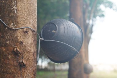 Yan yatmış plastik tencerenin arkasını kapatın..           