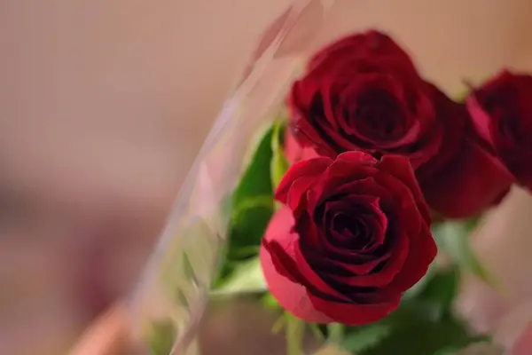 Kırmızı gül buketi, kapat manzarayı