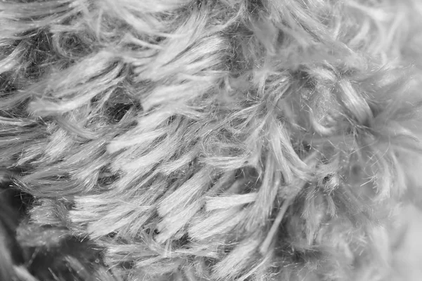 Close Monochrome Fur Dog — Stock Photo, Image