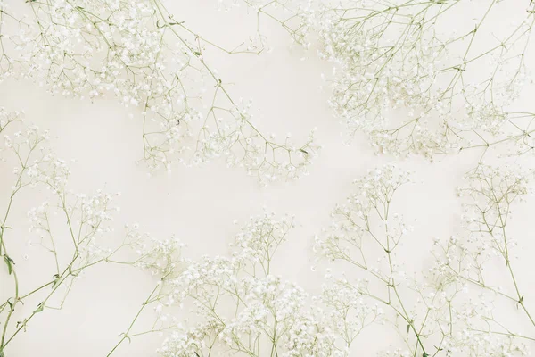 白いカスミソウの花ブーケ パターン フラット横たわっていた トップ ビューお祭りの背景 — ストック写真