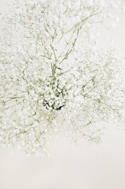 Beyaz gypsophila çiçek buketi.